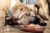 Puppies Dogue de Bordeaux - Eating raw meat