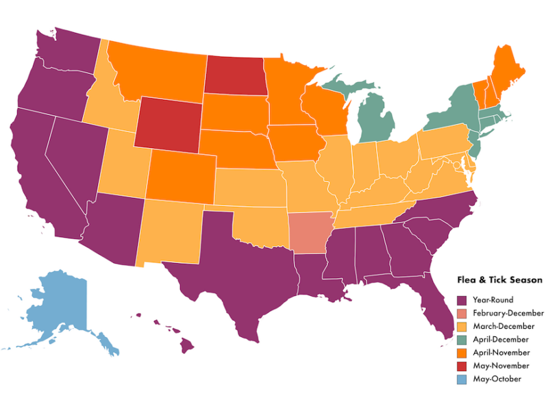Flea and tick season map of the United States of America