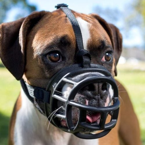 Heele Dog Muzzle Nylon Soft Muzzle Anti-Biting Barking Secure，Mesh Breathable Pets Mouth Cover for Small Medium Large Dogs 4 Colors 4 Sizes 