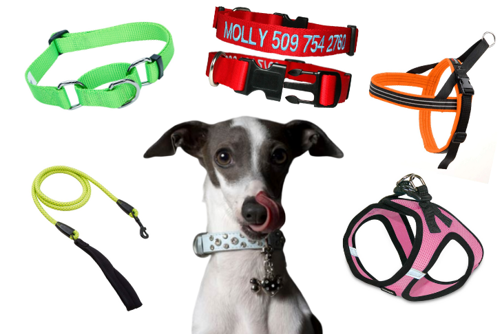 Includes Free Training Guide 5 Soft Padding Dog Head Collar No Pull Training Tool for Dogs on Walks