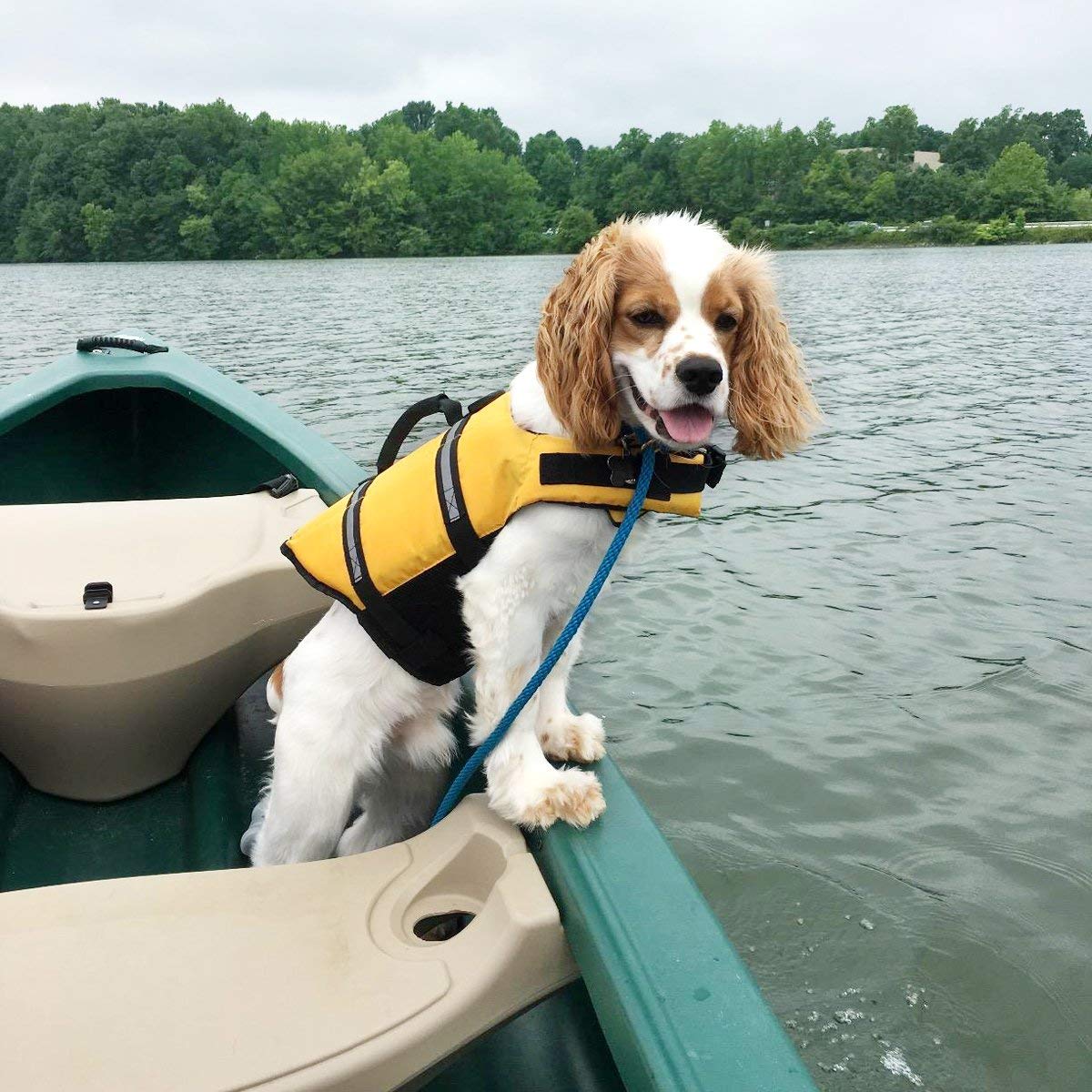 Dog Life Jacket: 4 Of The Best Options For Your Dog—American Kennel Club
