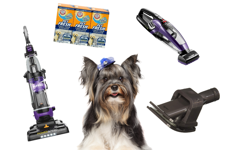 Best Vacuum for Pet Hair: Top-Rated Vacuums for Dog Owners