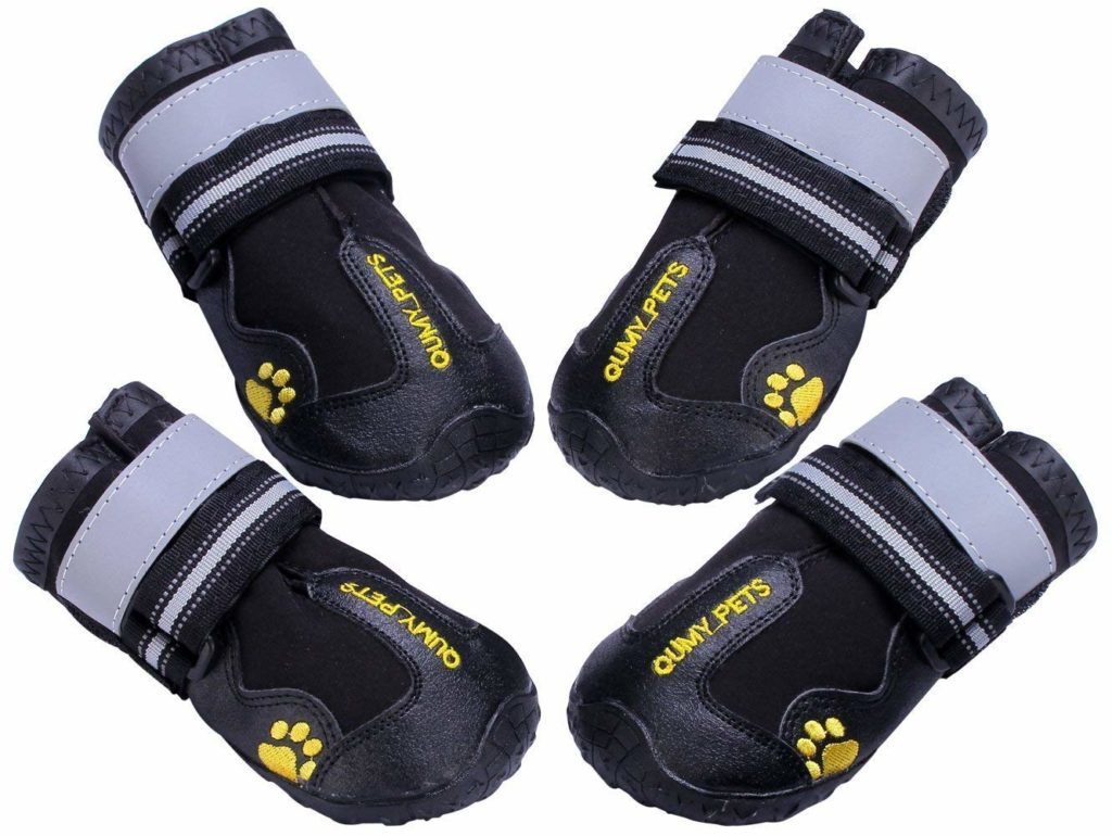 Best Dog Boots for Winter & Cold Weather – American Kennel Club