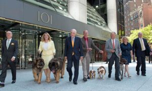 AKC moves to Kalikow
