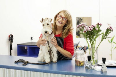 safe dog grooming with AKC