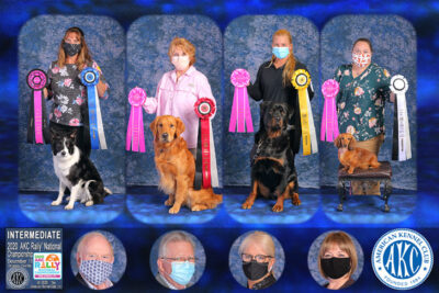 RNC 2020 Results – American Kennel Club