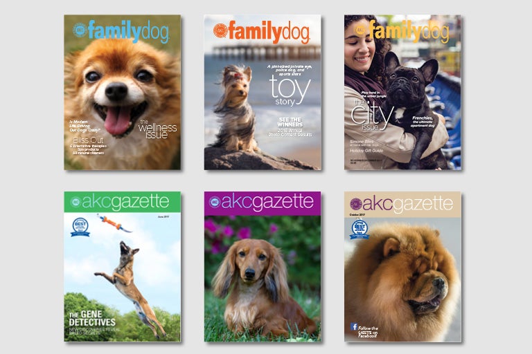 AKC Magazines – American Kennel Club