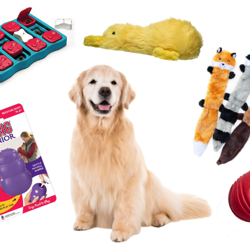 The Best Dog Toys For Retrievers