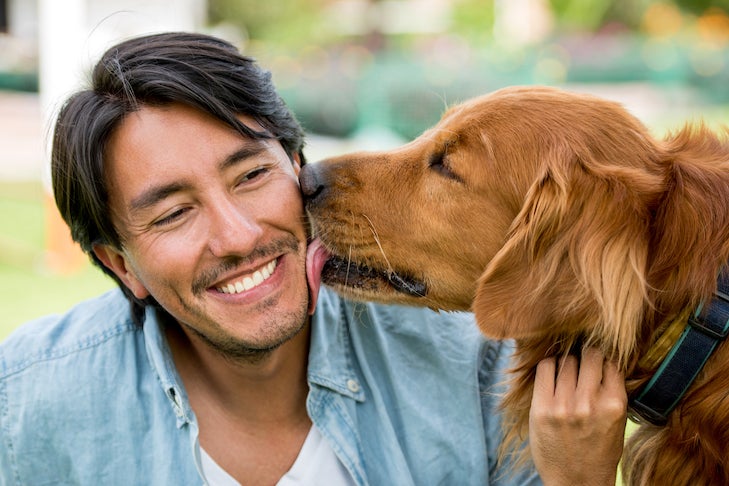 How to Teach Your Dog to Kiss on Cue – American Kennel Club