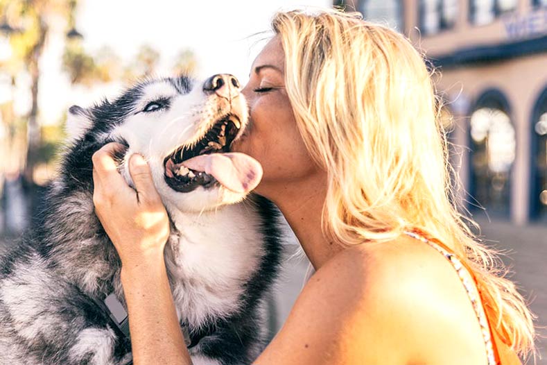 Woman kissing a happy Siberian Husky