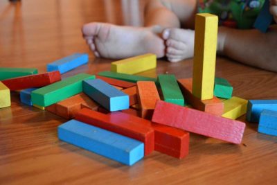Public Education Educator Resources Observe Sort Classify