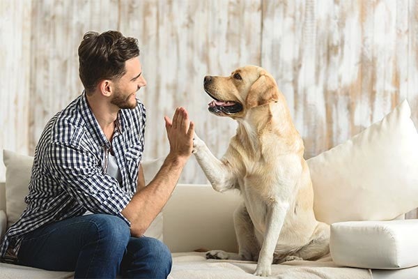 What Is an Animal Behaviorist? Here's What Dog Owners Should Know