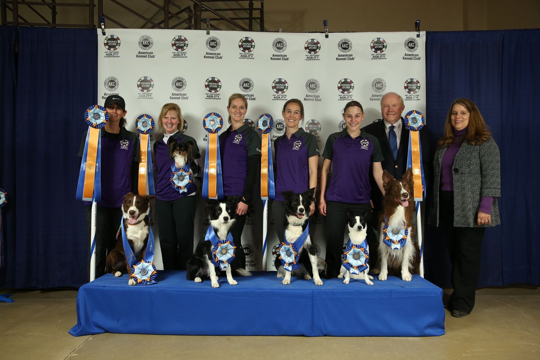 AKC National Agility Championship 2018 Winners — See the List