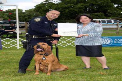 Bloodhound Staten Island KC Canine Officer Hero
