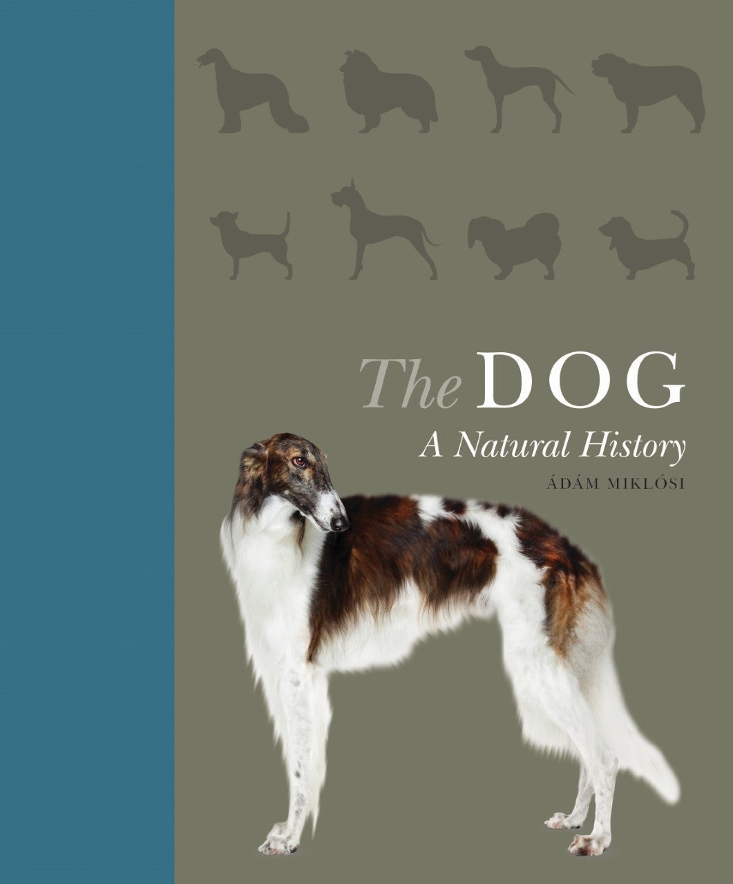 The_Dog_book_feature__6_