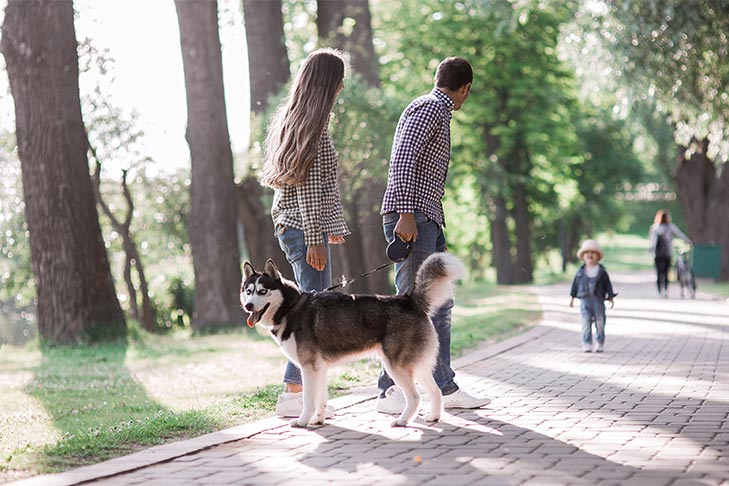 Why Having a Dog is Actually Great for Your Social Life and Mental