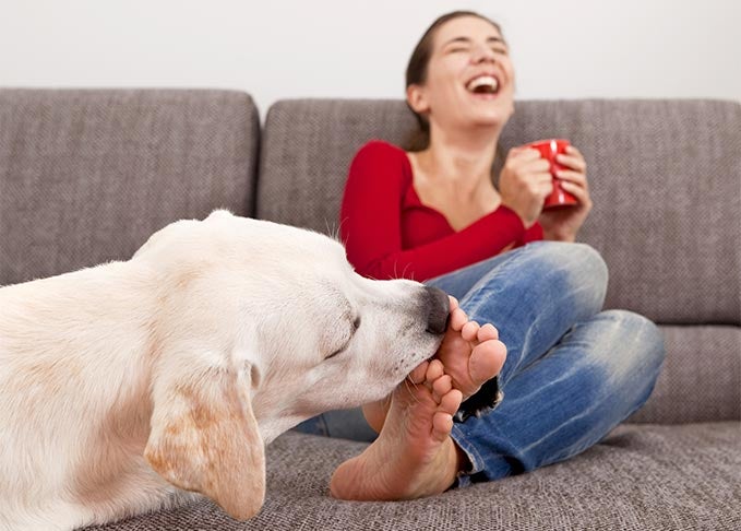 A Dog kissing a girl's feet