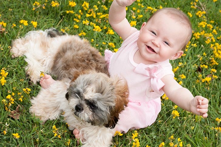 Ask Our Trainers: How Can I Keep My Baby Safe Around the Dog?