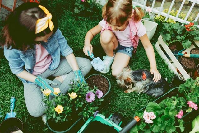 kids potting flowers with a yorkshire terrier dog