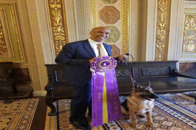 German Shepherd Dog Grand Champion Lockenhaus' Rumor Has It V Kenlyn