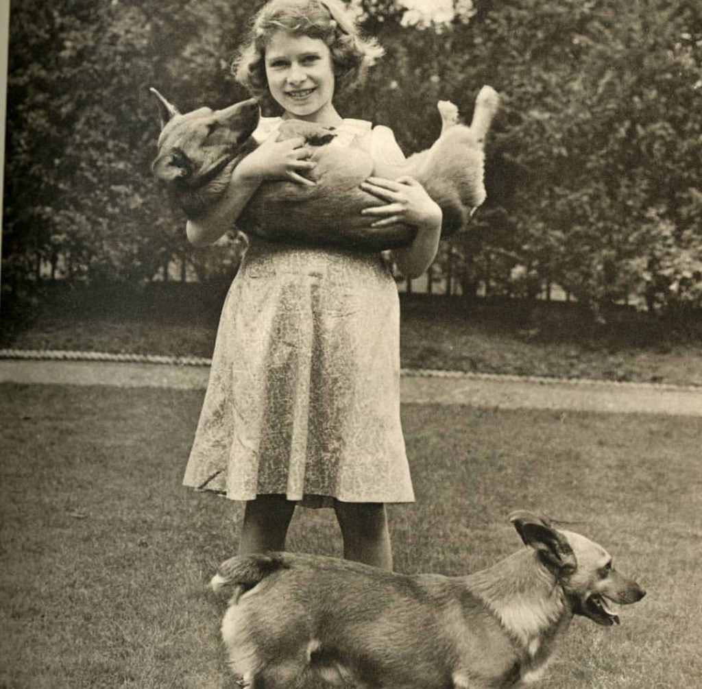 A Panorama of The Queen and Royal Corgis 43