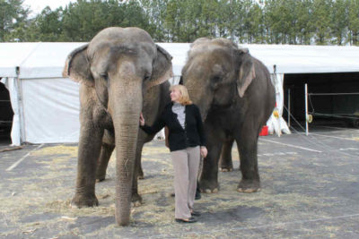 Ringling Brothers’ 2 elephants
