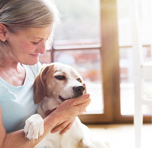 Living With a Blind Dog: Ways to Keep Your Canine Companion Safe
