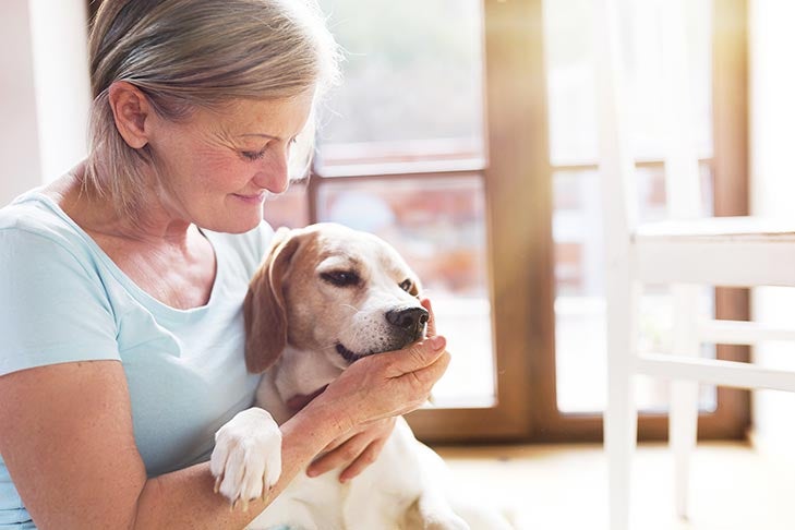 How to Help a Blind Dog — American Kennel Club