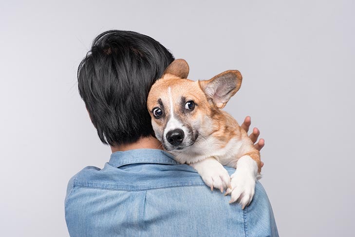 Common Fears And Phobias In Dogs And How To Help Treat Them
