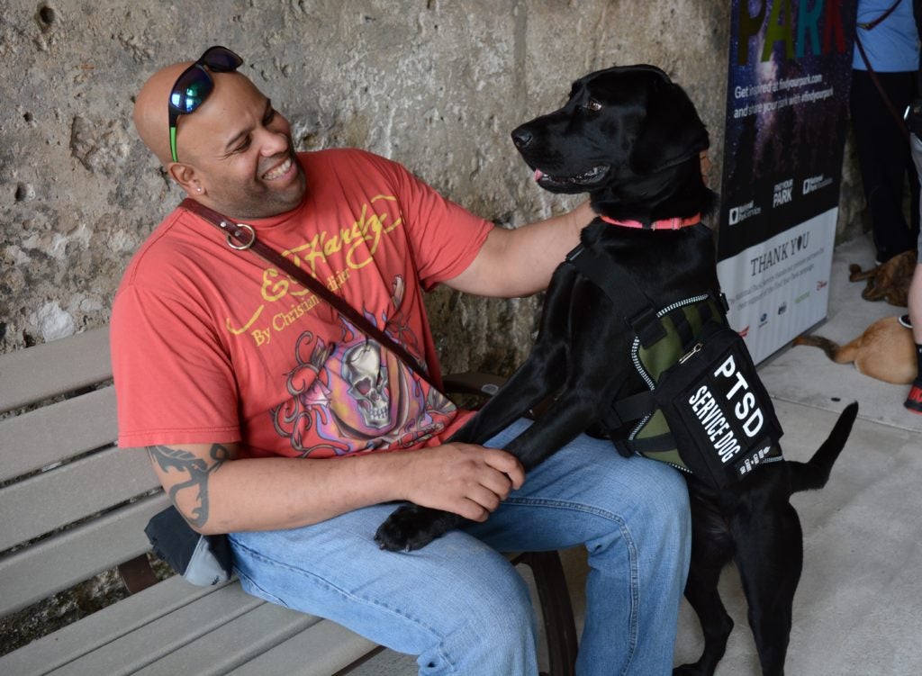  Service Dogs, Working Dogs, Therapy Dogs, Emotional Support Dogs: Whats the Difference?
