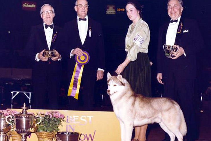 Siberian Husky Cinnar wins Best in Show at Westminster 1980