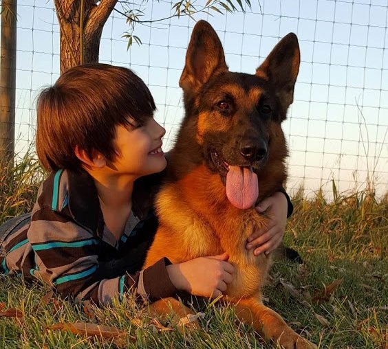 German Shepherd Dog and child