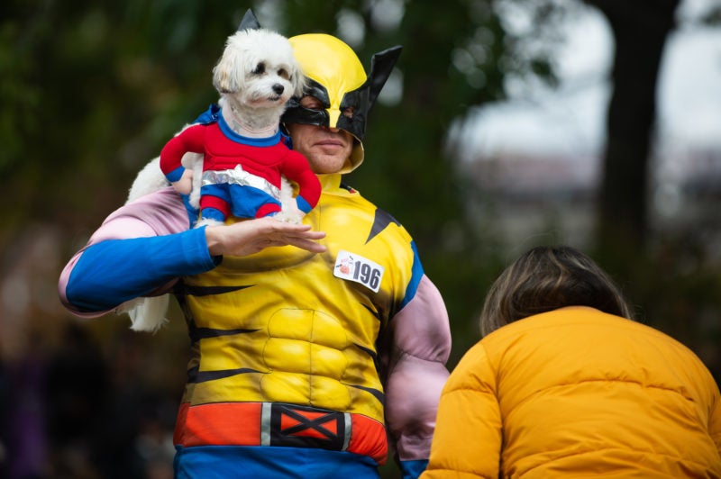 super-hero-dog-costume