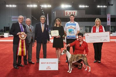Best in Stakes, Stakes Hound Group First, and Stakes Best of Breed: Aperture I Think I'm Going To Like It Here (Lizzie), Whippet; National All-Breed Puppy and Junior Stakes at the 2018 AKC National Championship presented by Royal Canin, Orlando, FL.