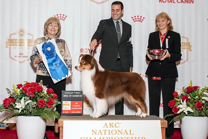 Bred By Exhibitor Winners – Kennel Club