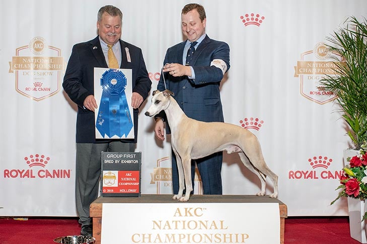 Bred By Exhibitor Winners – Kennel Club