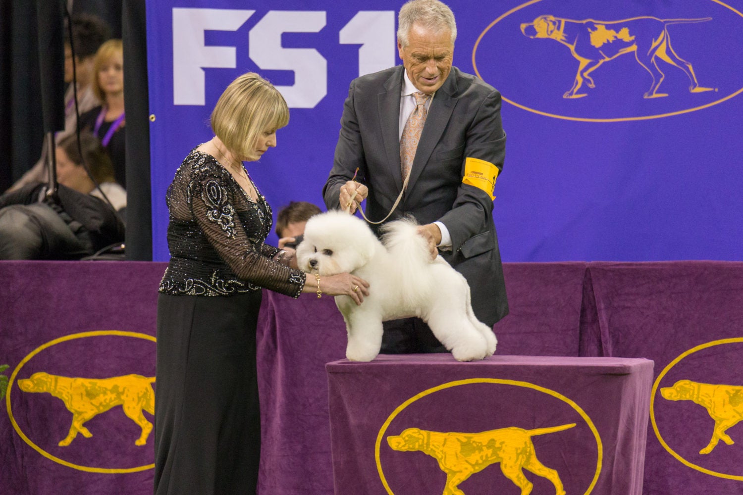 How Much Are Tickets To The Westminster Dog Show