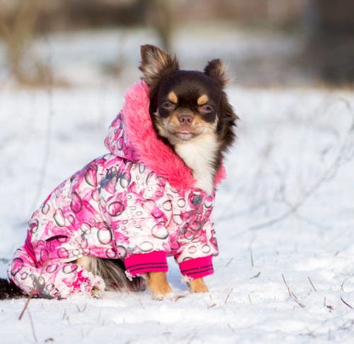 KEESIN Small Dog Hoodies,Pet Dog Coat Clothes,Christmas Moose Winter Warm Sweater L