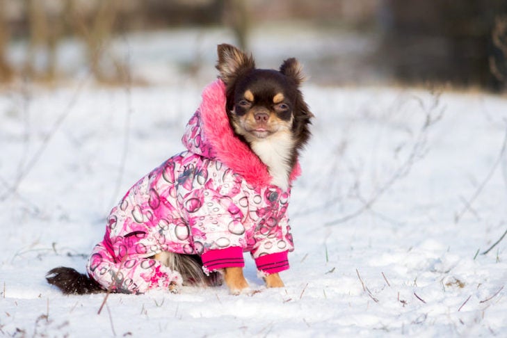 HAPEE Dog Sweaters Classic Style,Pet Warm Clothes,Puppy Cat Dog Sweatshirt