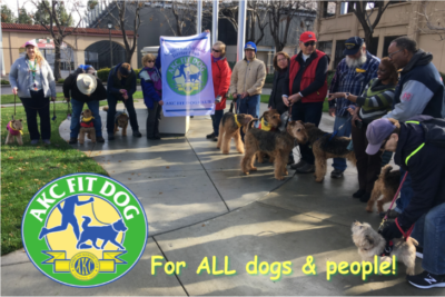 fit dog clubs hero