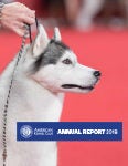 Annual Report Cover 2019 TN