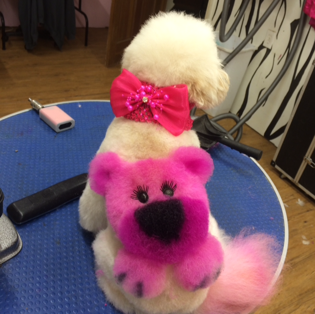 creative grooming pink dog