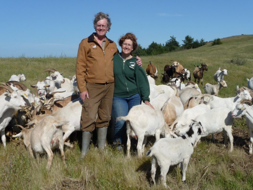 John and Lesley Brabyn are surrounded by their herd of Kiko meat goats, on their 400-acre Salmon Creek Ranch in Sonoma County, California. Photo by Jocelyn Brabyn.