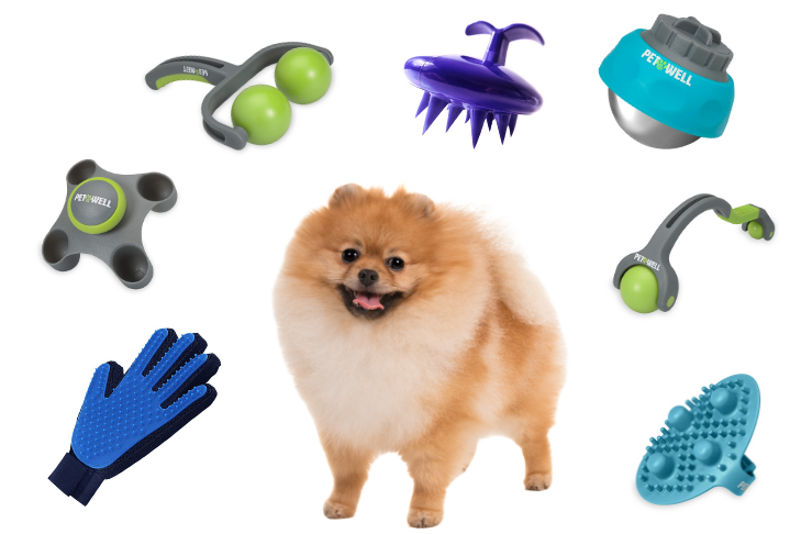 Top 7 Best Pet Massage Tools for Dogs – American Kennel Club