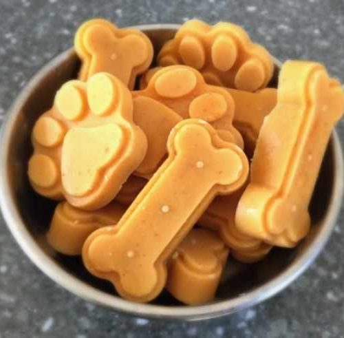 Can Dogs Have Orange Ice Lollies 