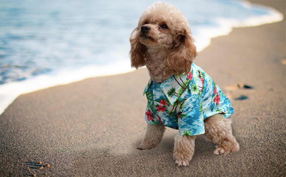 Pet Dog Puppy Floral T-Shirt Hawaiian Shirt Summer Tops Vest Clothes Apparel Hot 
