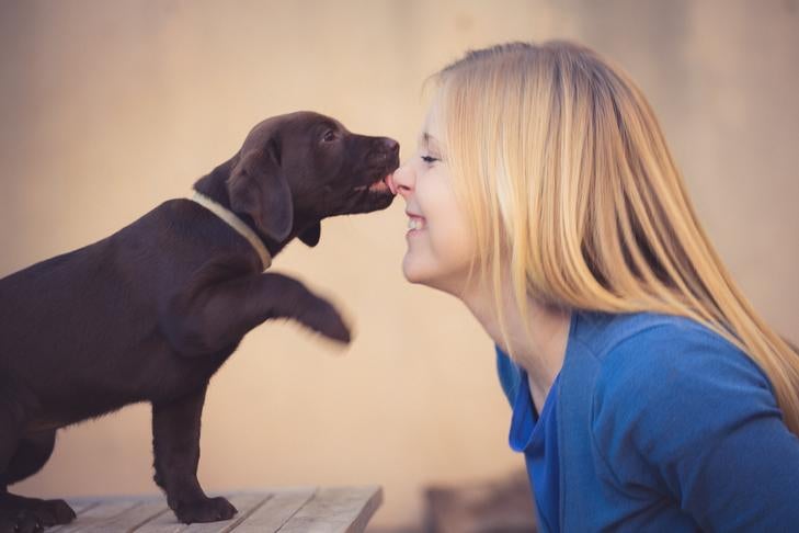 Why Is My Dog Licking Me? - American Kennel Club