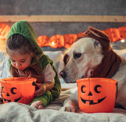 Matching Halloween Costumes for Kids 