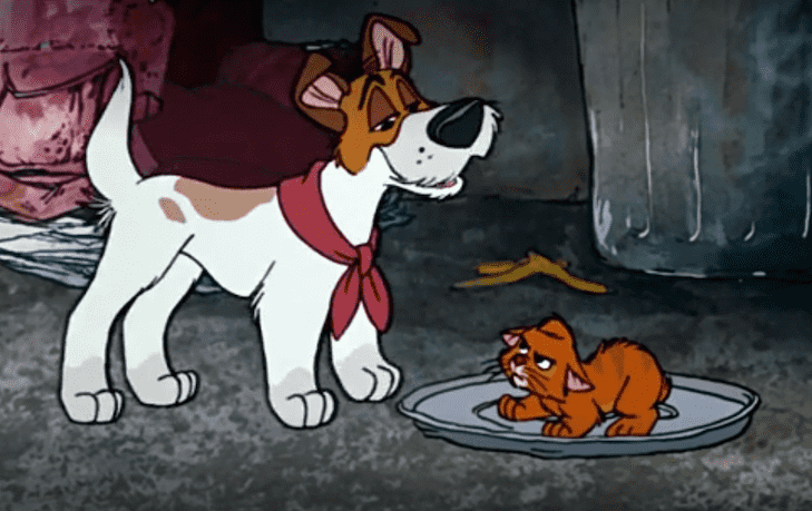 Best Dog Movies On Disney Plus: Canine-Centric Content Worth Watching