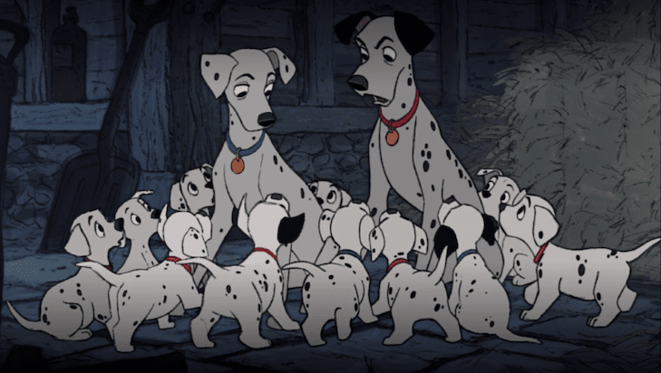 Best Dog Movies On Disney Plus: Canine-Centric Content Worth Watching